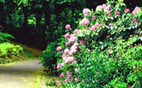 �����Ļ��@���ˇ�g(sh��)�̰������x11ƪ��