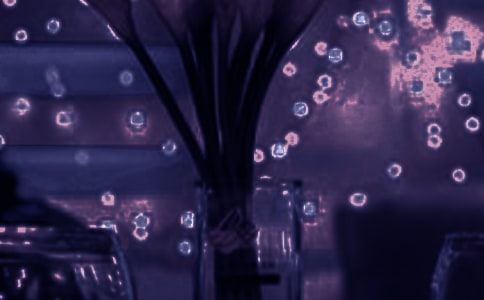 �w�B(ni��o)�c���~(y��)����������