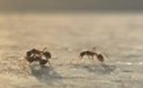 �����x���^��Λρ?zh��n)��?ƪ