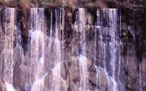 �茑(xi��)�ؿ��ٲ��ĺ�Ԋ(sh��)