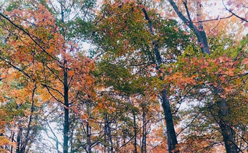 ����˼�w����