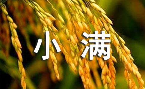2024小滿節(jié)氣優(yōu)美句子(精選200句)
