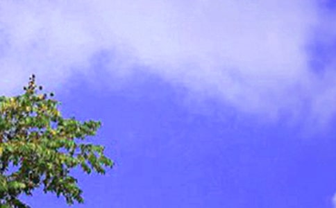 中午的一刻