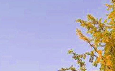 ���̵����õ��簲����Ȧף���Z���\60�l