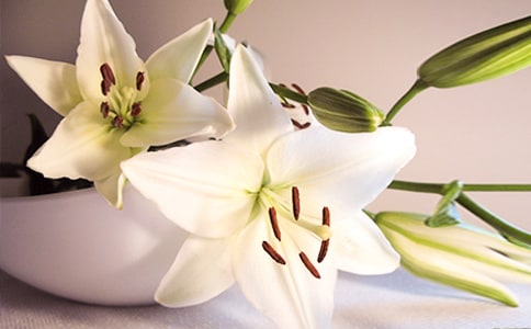 百合花開林清玄