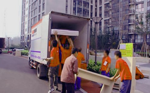 螞蟻搬家的作文(通用52篇)