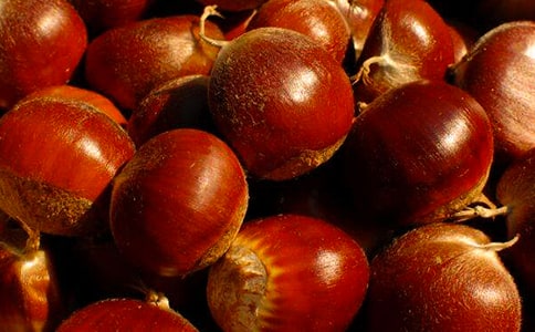 ���l(xi��ng)�İ������ĺϼ�15ƪ