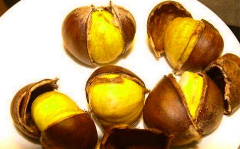 家鄉(xiāng)的板栗作文(集合7篇)