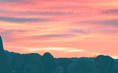 鄉(xiāng)村的傍晚小學(xué)生作文