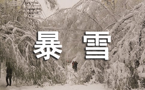 2021暴雪天氣應(yīng)急預(yù)案方案(通用5篇)