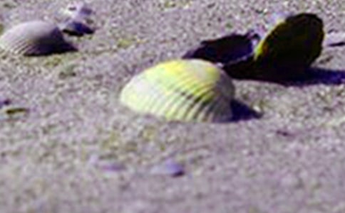 ؐ��С�W����-ؐ��