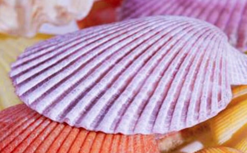 小學(xué)描寫貝殼的作文(通用45篇)