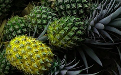 �а����g(sh��)�̰����}�̰�