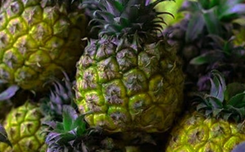 菠蘿的自述作文