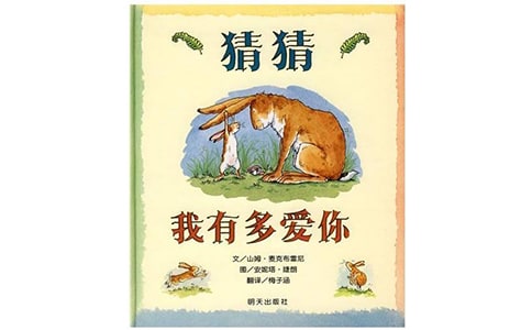 《猜猜我有多愛你》反思
