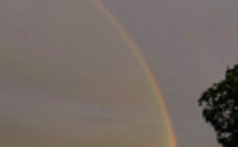 �P(gu��n)�����ʺ�ľ���300��