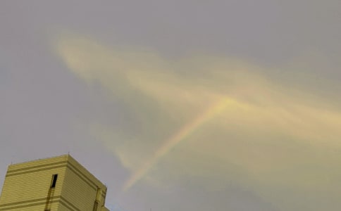 彩虹小學(xué)作文