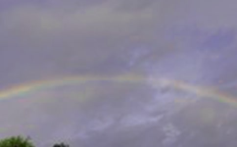 雨后見彩虹_800字