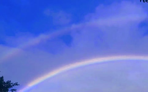 花格子彩虹橋小學(xué)生作文