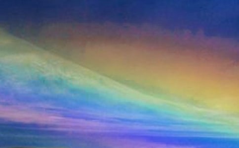 【精華】雨后彩虹四年級作文三篇