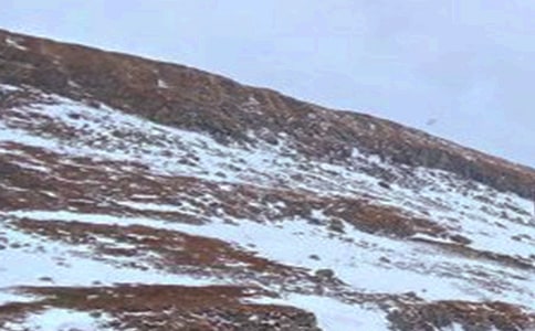 長白山之行作文(精選7篇)