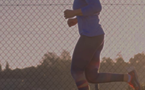 龜界的“長(zhǎng)跑冠軍”作文(精選20篇)