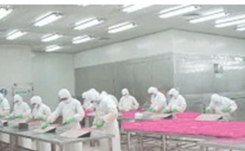 ���a(ch��n)܇�g���˹������Y(ji��)��ͨ��24ƪ��