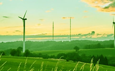 һ�꼉(j��)�茑���L(f��ng)�ľ���