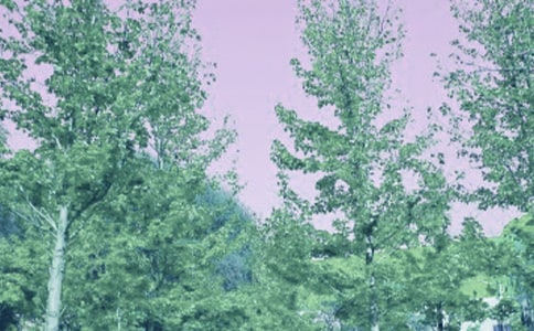 �茑���L(f��ng)��Ԋ��