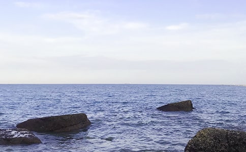 寫大海的優(yōu)美句子170句