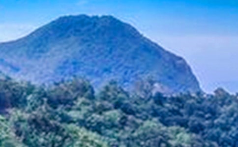 贊美大山的優(yōu)美短句