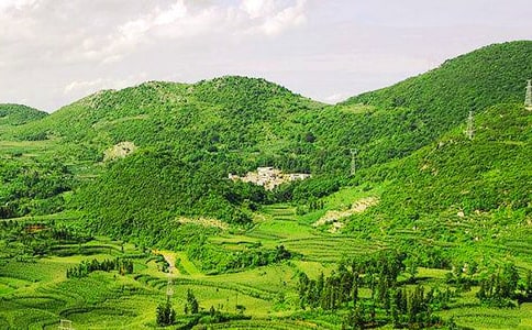 ����ɽ��̎�ı������^���