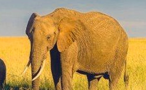 �����С������(����15ƪ)