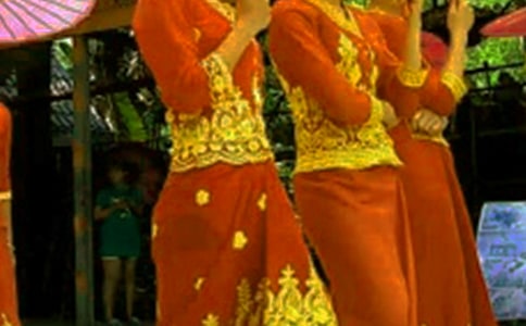 ��B��������ģ�ͨ��33ƪ��