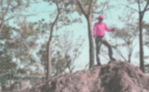 【薦】登山的啟示作文