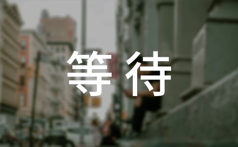 等待現(xiàn)代愛情詩歌