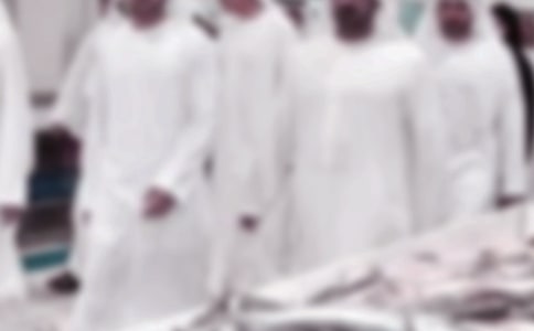 迪拜街頭風(fēng)光作文300字(通用15篇)