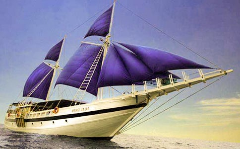 帆船的一年級(jí)作文3篇