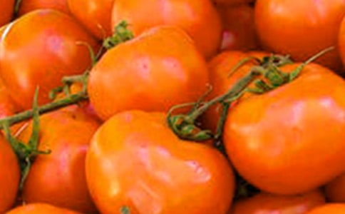 ���ѳ������ġ���(y��u)��