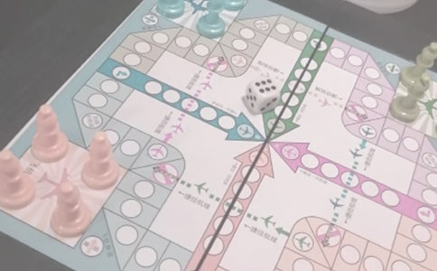 飛行棋小學(xué)作文