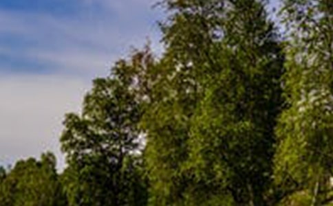 風景園林管理處安全月的活動總結(jié)