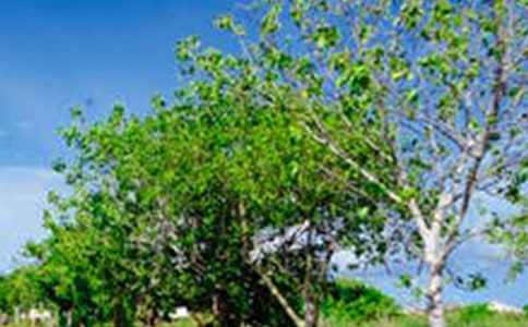 ��(sh��)���L(f��ng)�����B����