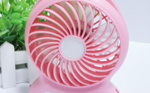 扇子和電風(fēng)扇作文