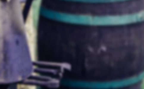 2024�����꼉��F��־�^��з���100�֣����x10ƪ��