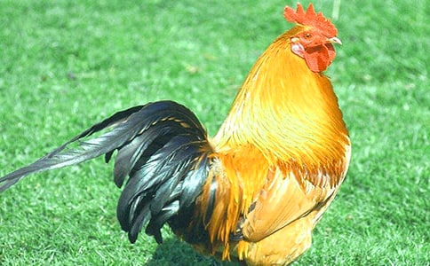 ���u����15ƪ[ͨ��]