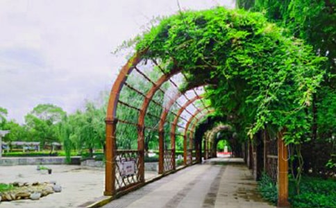 �������������@����300��