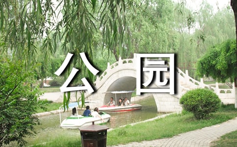 夜晚公園作文400字