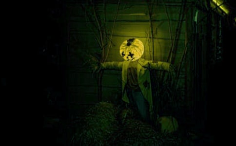 ���ݚv�U(xi��n)ӛ����ͨ��[15ƪ]