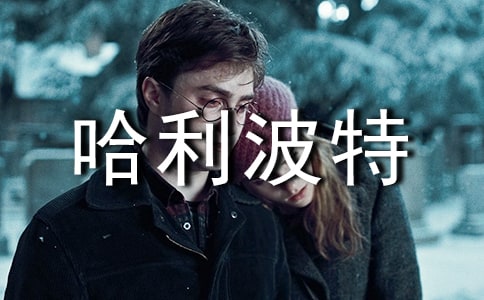 哈利波特與死亡圣器觀后感500字