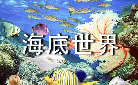 三年級《海底世界》教學觀后感